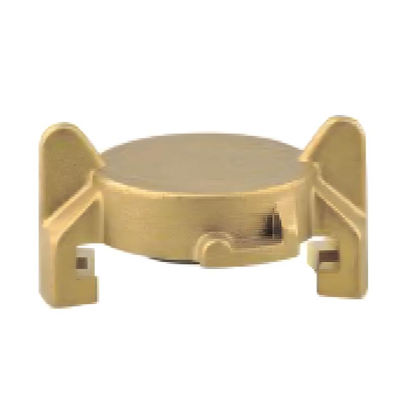 HJ-2009 Brass lock claw coupling