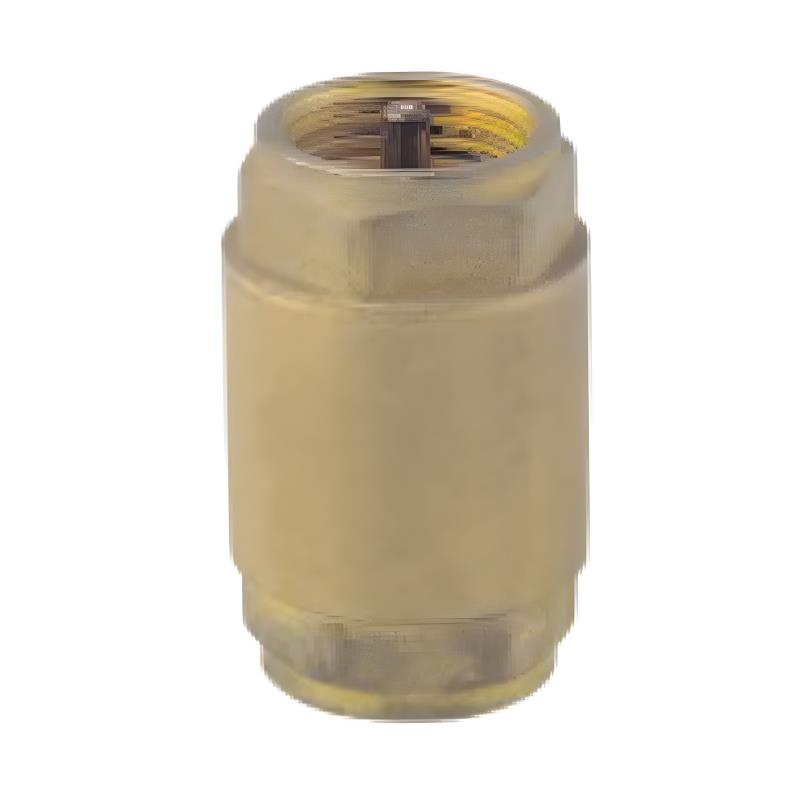 HJ-5019 Brass Check Valve