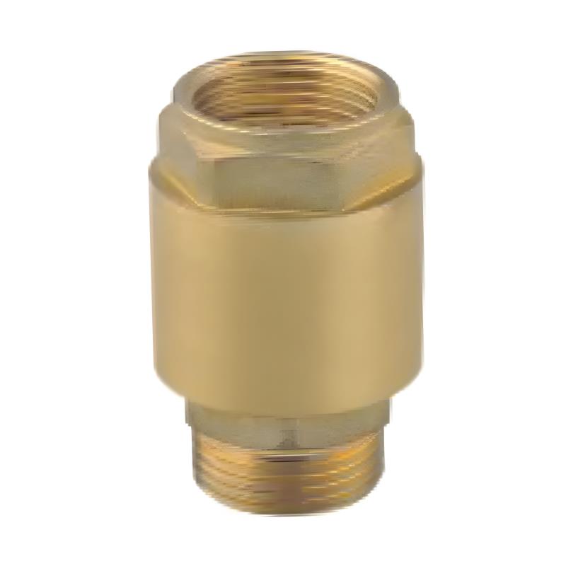 HJ-5018 Brass Check Valve