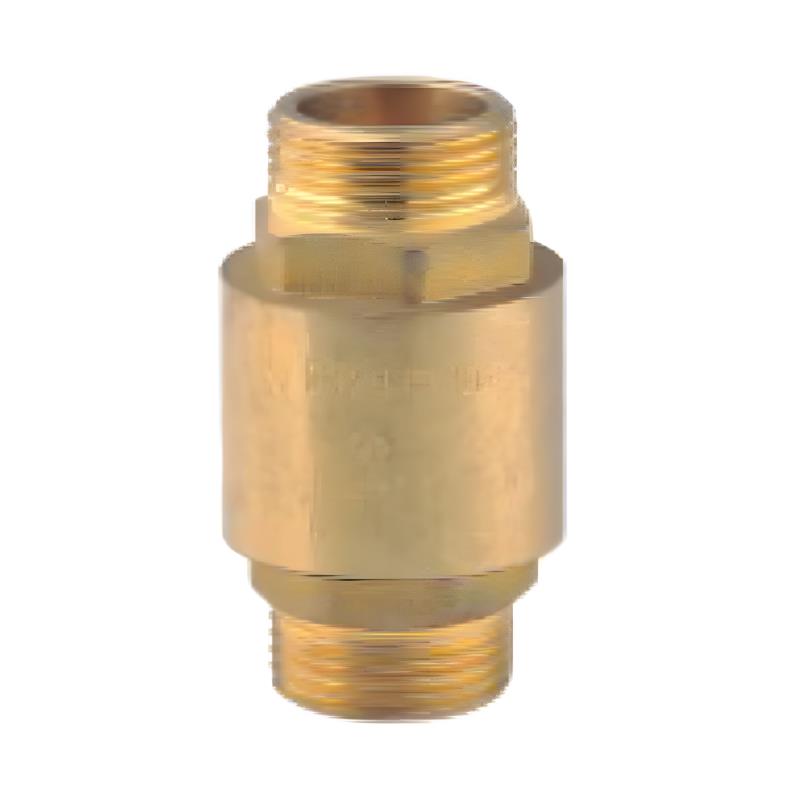 HJ-5017 Brass Check Valve